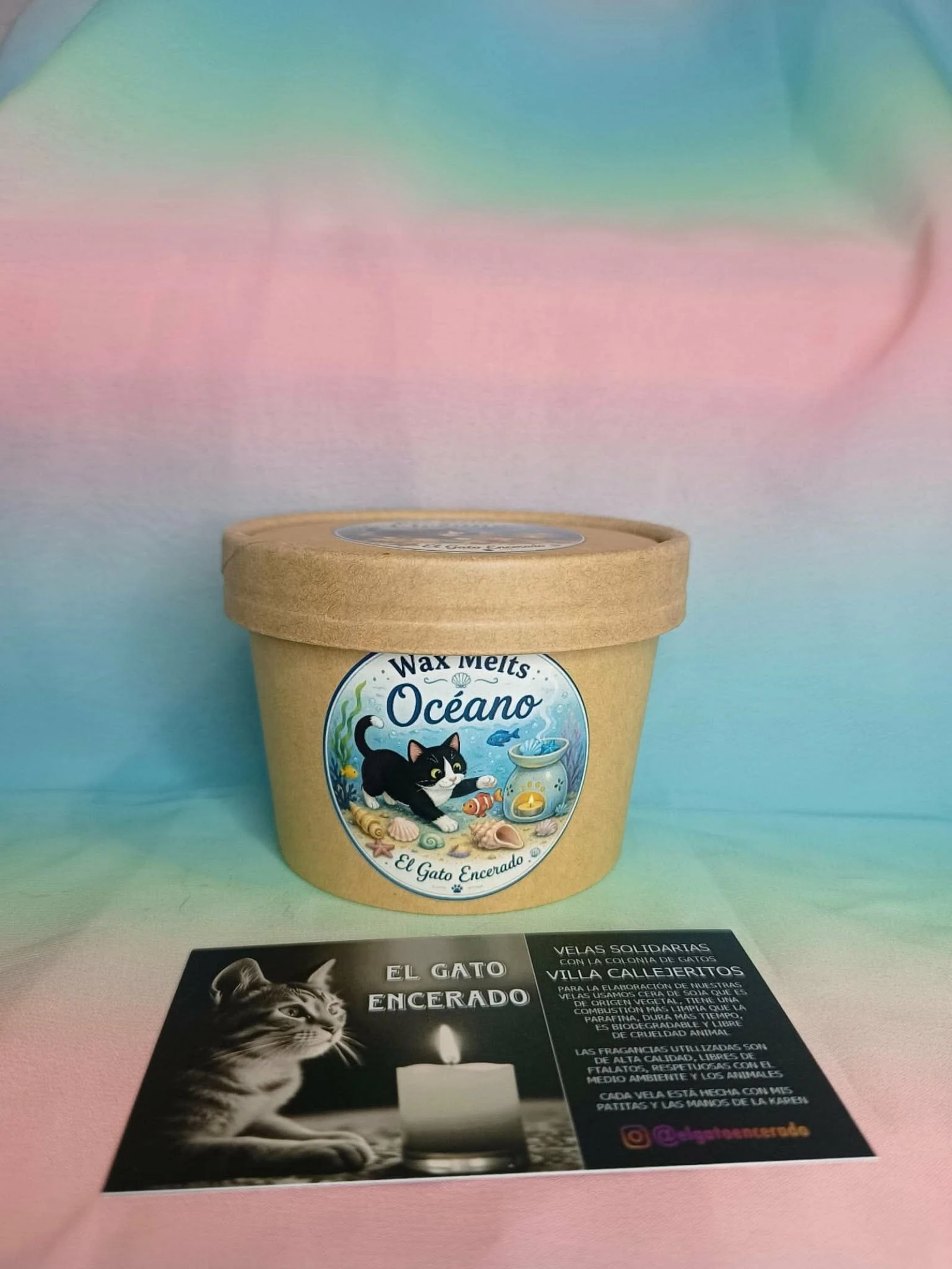 Waxmelts Océano – photo 4